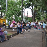 Foto: DE LAS PALOMAS - Alajuela