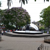Foto: KIOSCO - Alajuela