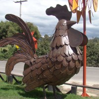 Foto: Gallo - Tenjo