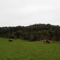 Foto: Quinchao - Quinchao