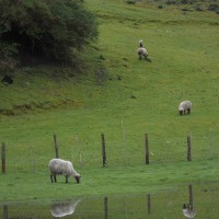 Foto: Quinchao - Quinchao