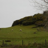 Foto: Quinchao - Quinchao