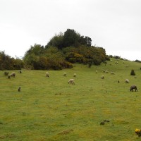 Foto: Quinchao - Quinchao