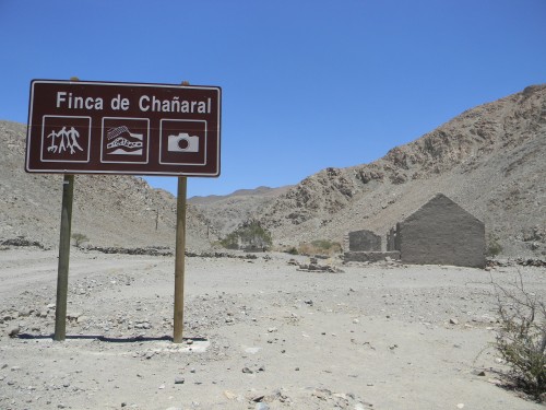 Foto: Viviendas - Inca De Oro (Atacama), Chile
