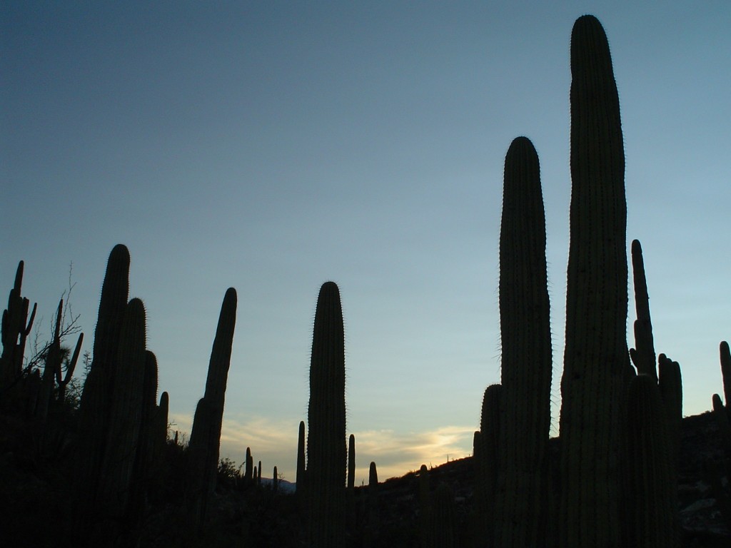 Foto de Puebla, México