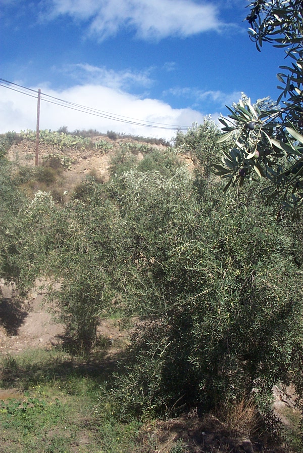 Foto de Canjáyar (Almería), España