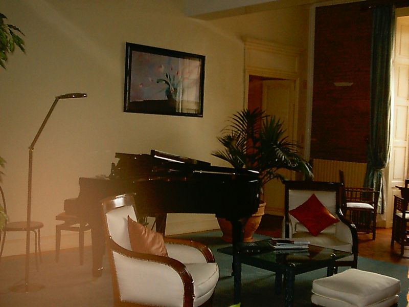 Foto de Tolosa, Francia