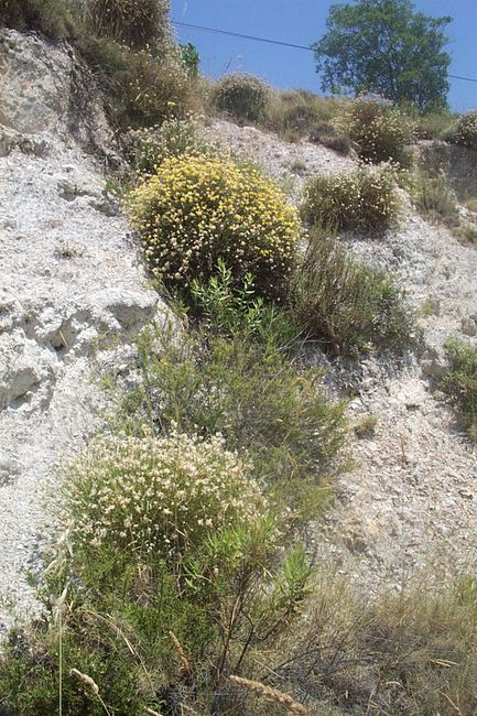 Foto de Canjáyar (Almería), España