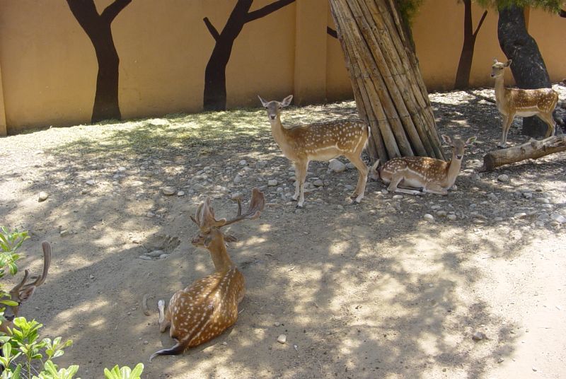 Foto de Jerez de la Frontera (Cádiz), España