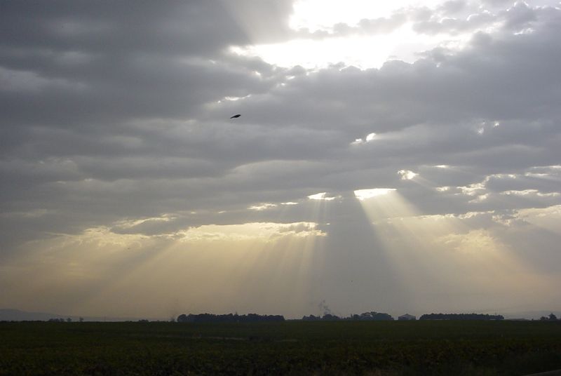 Foto de Jerez de la Frontera (Cádiz), España