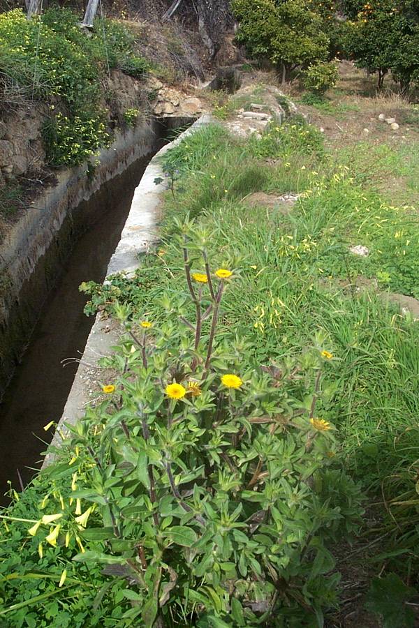 Foto de Canjáyar (Almería), España