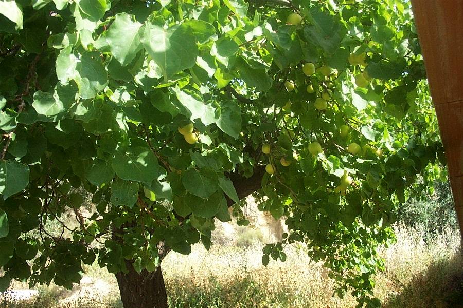 Foto de Canjáyar (Almería), España
