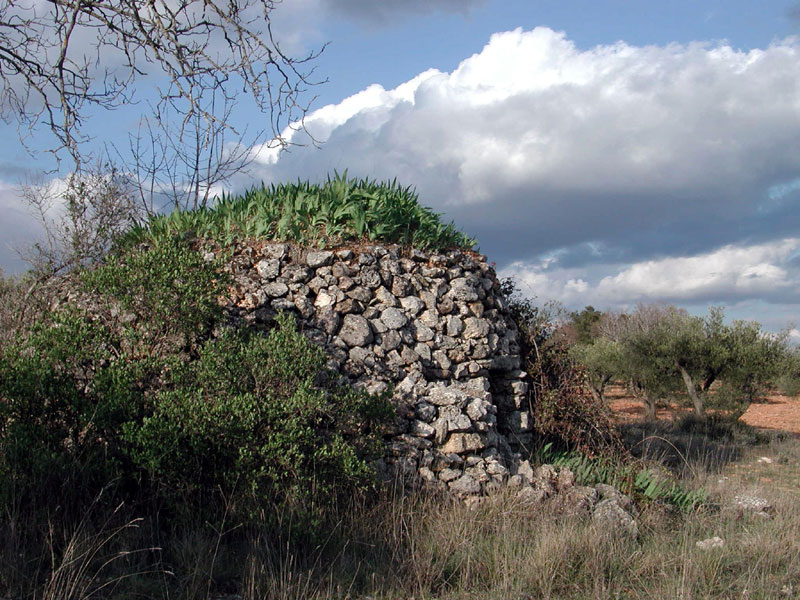 Foto de Valdeavellano (Guadalajara), España