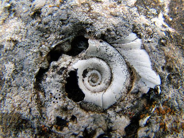 Foto de Valdeavellano (Guadalajara), España