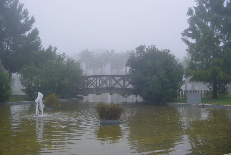 Foto de Jerez de la Frontera (Cádiz), España