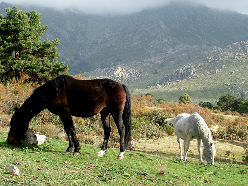 Foto de Madrid (Comunidad de Madrid), España