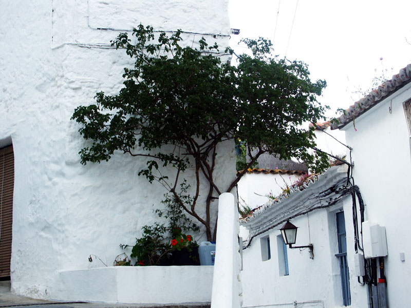 Foto de Casares (Málaga), España