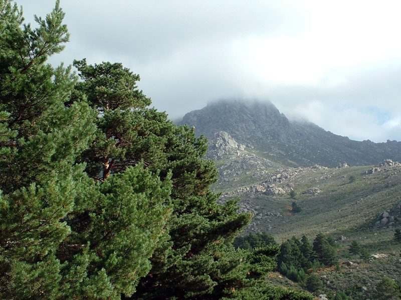 Foto de Madrid (Comunidad de Madrid), España