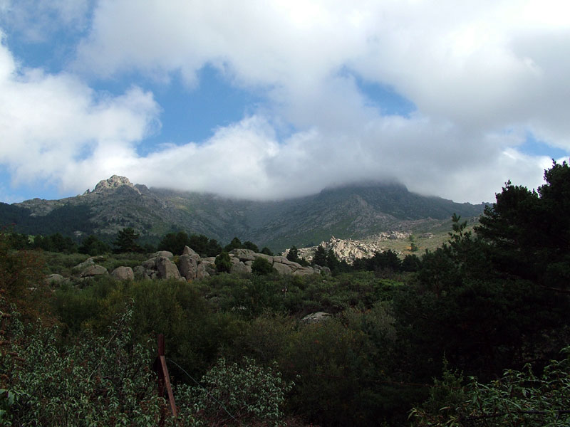 Foto de Madrid (Comunidad de Madrid), España