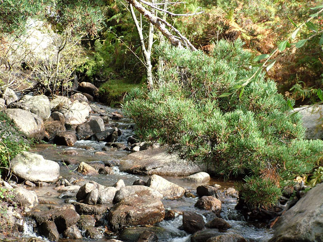Foto de Madrid (Comunidad de Madrid), España