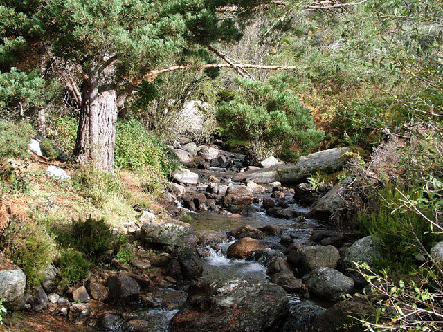 Foto de Madrid (Comunidad de Madrid), España