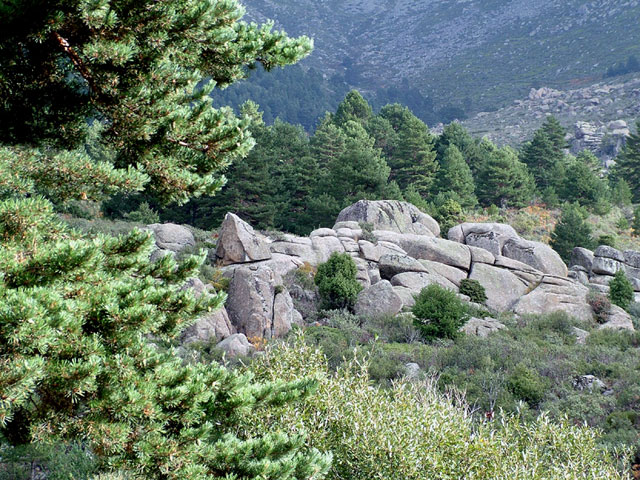 Foto de Madrid (Comunidad de Madrid), España