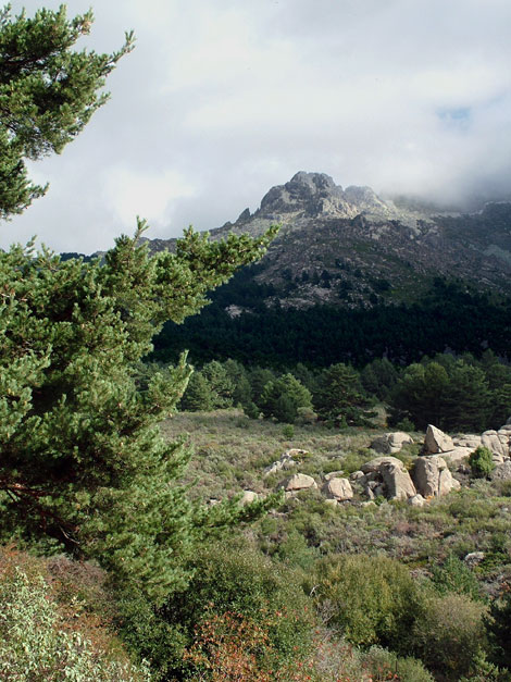 Foto de Madrid (Comunidad de Madrid), España