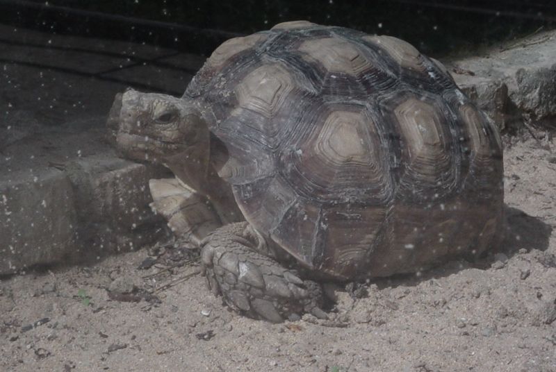 Foto de Jerez de la Frontera (Cádiz), España