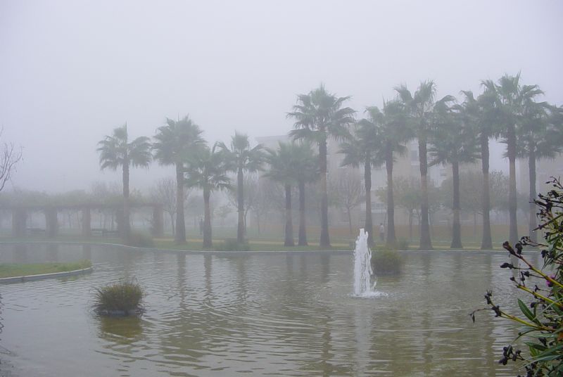 Foto de Jerez de la Frontera (Cádiz), España
