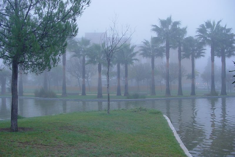 Foto de Jerez de la Frontera (Cádiz), España
