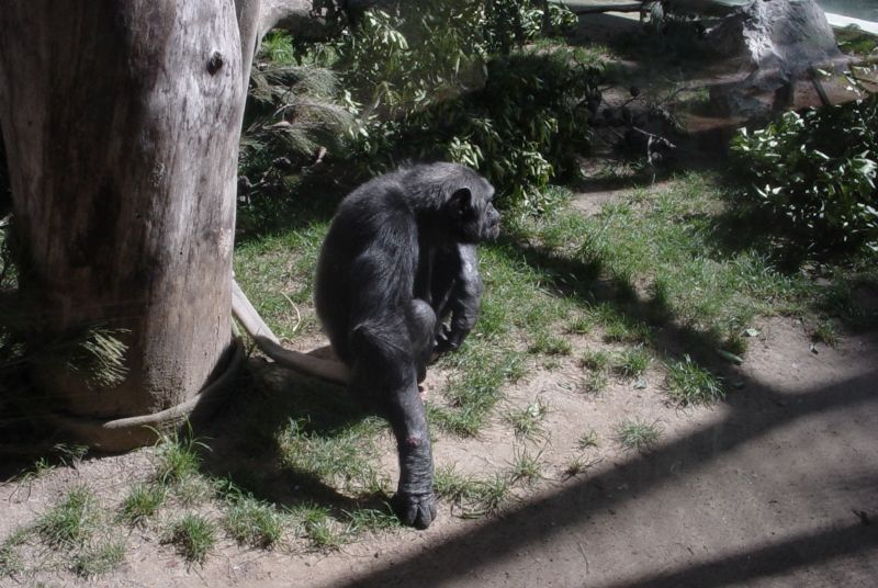 Foto de Jerez de la Frontera (Cádiz), España
