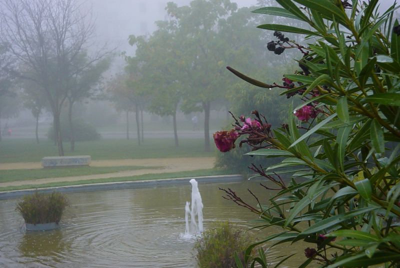 Foto de Jerez de la Frontera (Cádiz), España