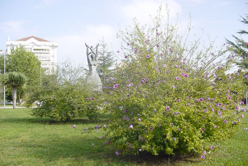 Foto de Jerez de la Frontera (Cádiz), España