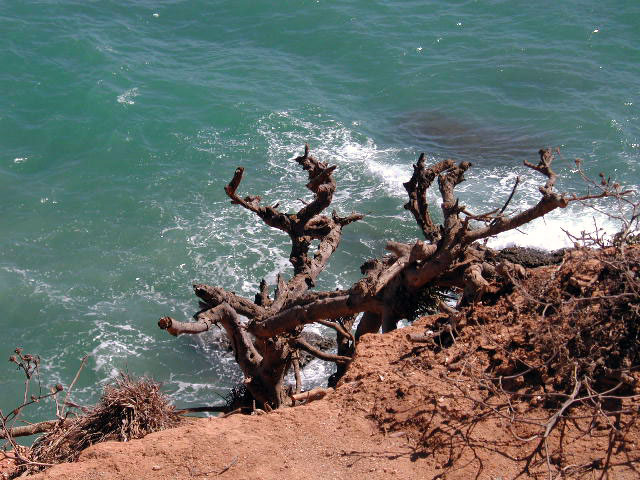 Foto de Conil (Cádiz), España