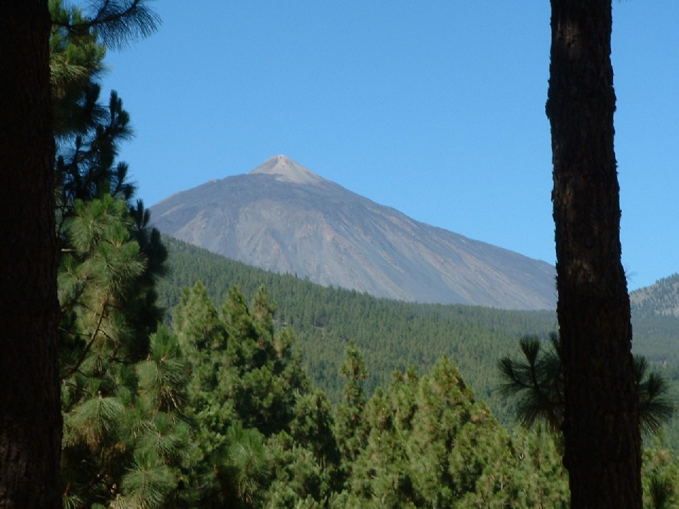 Foto de La Orotava (Santa Cruz de Tenerife), España