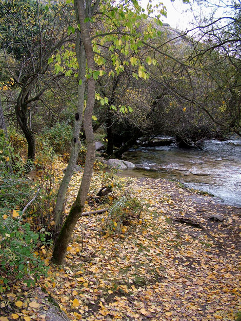 Foto de Manzanares el Real (Madrid), España
