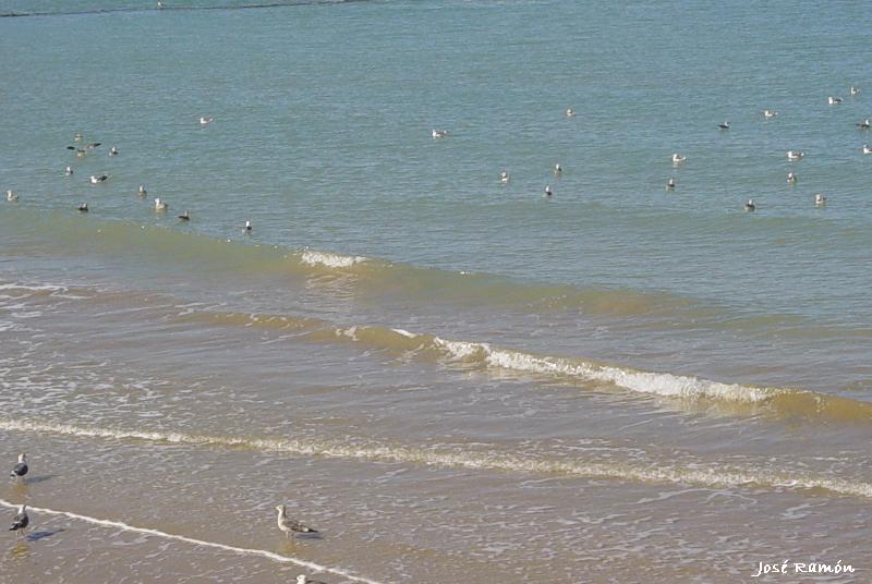 Foto de Chipiona (Cádiz), España