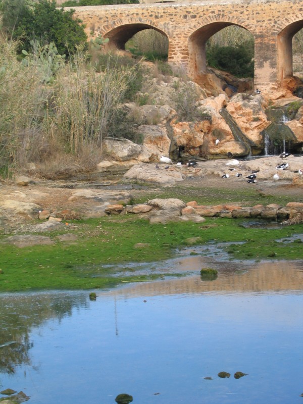 Foto de Ibiza (Illes Balears), España