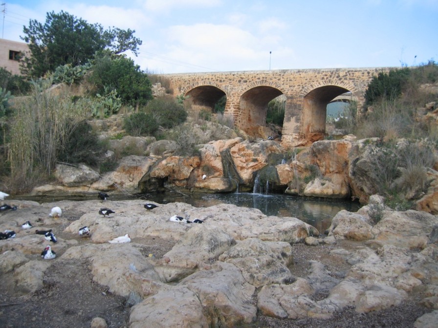 Foto de Ibiza (Illes Balears), España