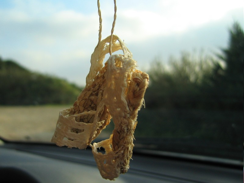 Foto de Ibiza (Illes Balears), España