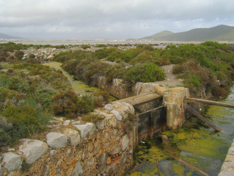 Foto de Ibiza (Illes Balears), España