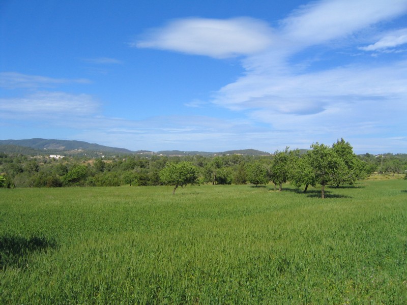 Foto de Ibiza (Illes Balears), España