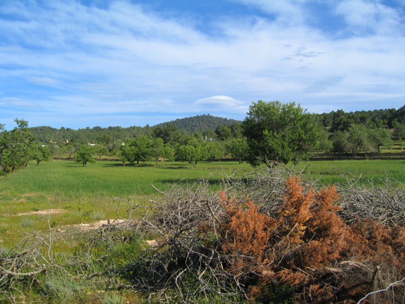 Foto de Ibiza (Illes Balears), España
