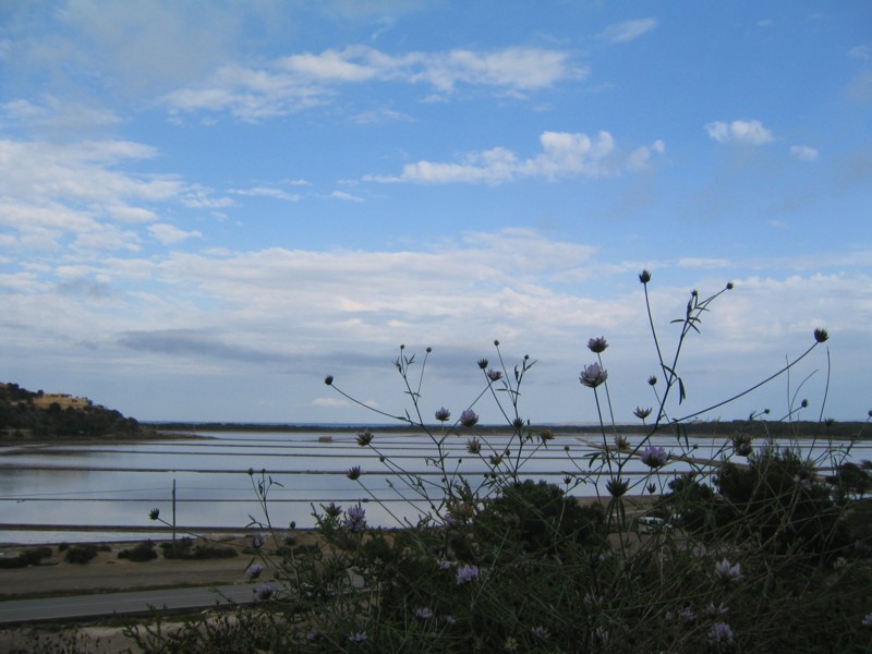 Foto de Ibiza (Illes Balears), España