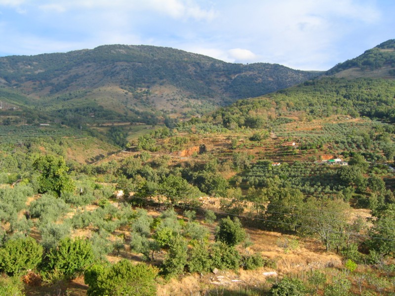 Foto de Losar de la Vera (Cáceres), España