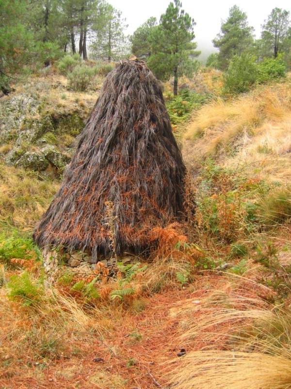Foto de Cáceres (Extremadura), España