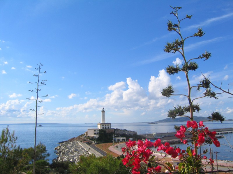 Foto de Ibiza (Illes Balears), España