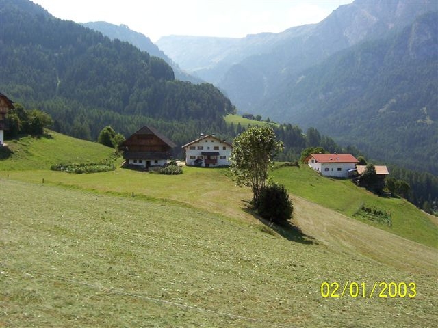 Foto de Alpe de Siussi, Italia