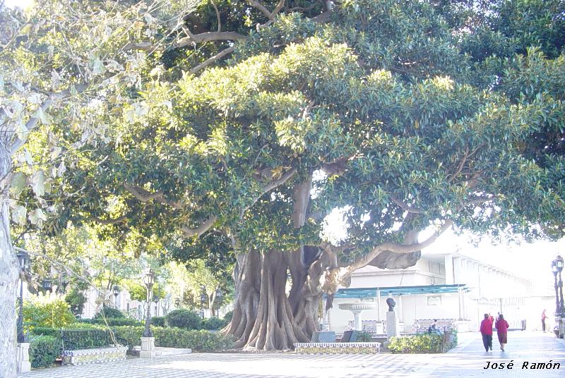 Foto de Cádiz (Andalucía), España