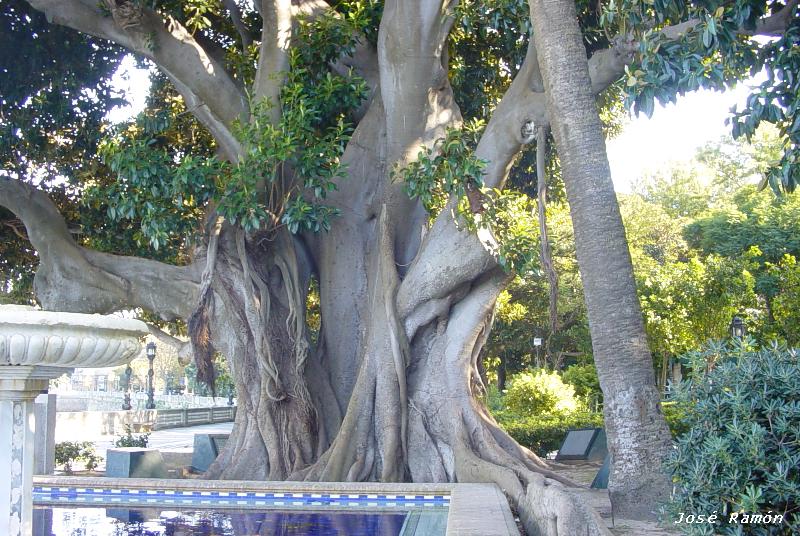 Foto de Cádiz (Andalucía), España